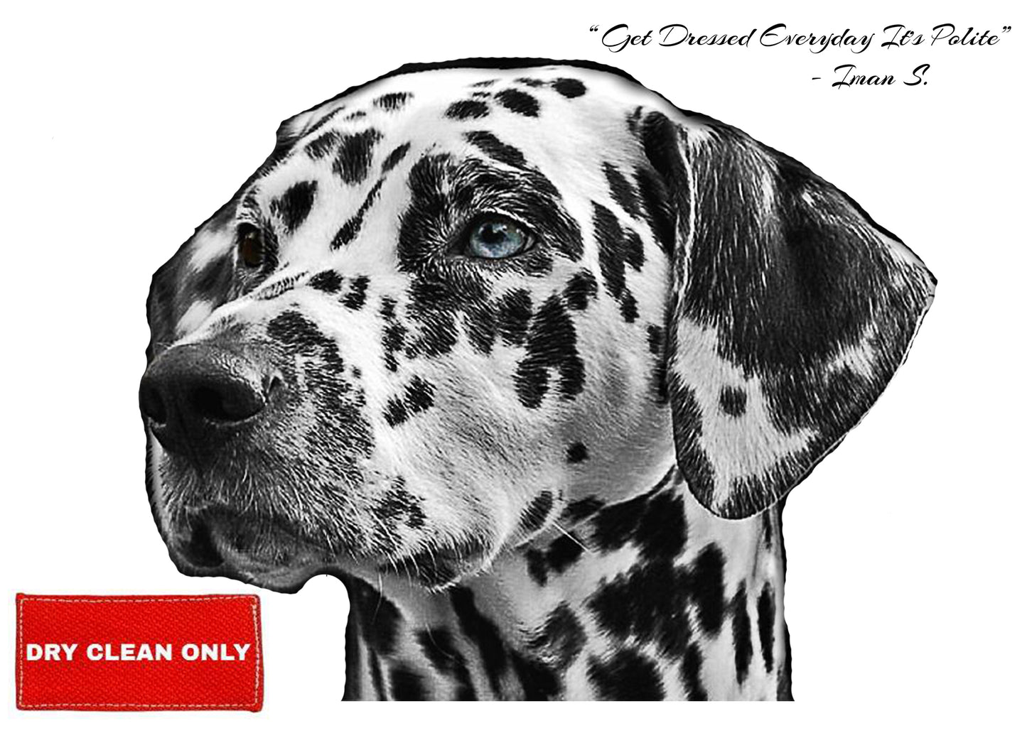 Dry Clean Only Gift Cards